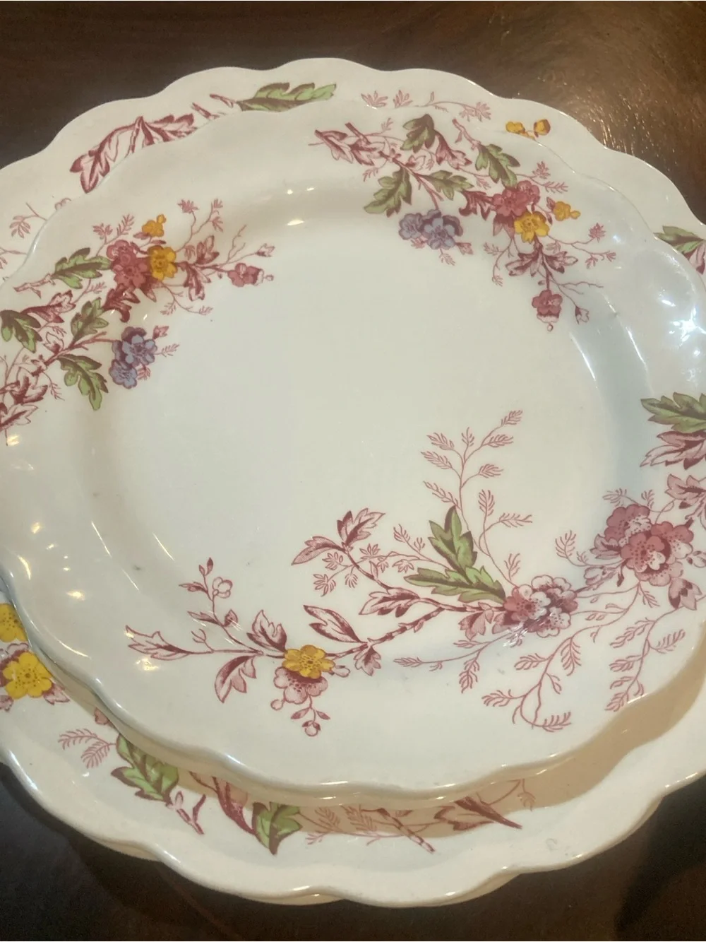 SR Ridgeway Ironstone Staffordshire England “ English Garden 6 piece set